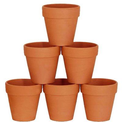 Clay Plant Pot