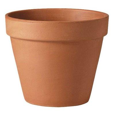 Clay Plant Pot